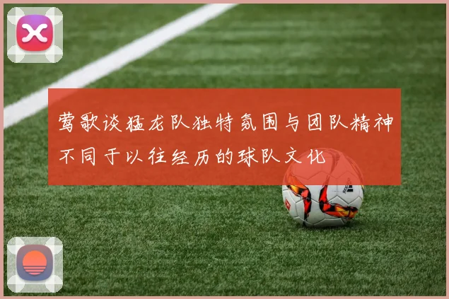 莺歌谈猛龙队独特氛围与团队精神不同于以往经历的球队文化